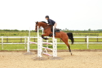 SBM_001781