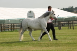SBM_00543