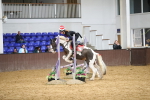 SBM_002702