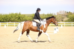 SBM_007913