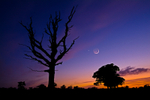980 Moon and Venus Conjuction, Ashey
