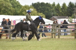 SBM_15993