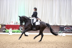 SBM_008935