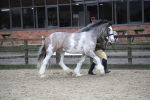 SBM_008034