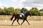 SBM_003338