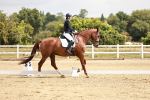 SBM_002724