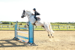 SBM_003324