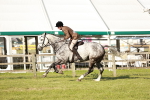 SBM_20111