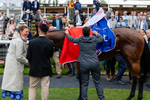 210826-Race 1-Blue Courvoisier-6254