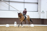SBM_002809