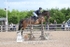 BPP_7438