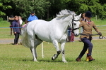SIAL6215