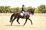 SBM_009460