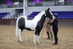 SBM_5282