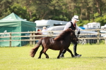 SBM_01886