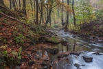 Autumn along the Brook - 4
