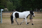 WJ6_7834