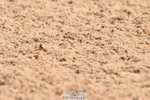 240623A-102156-16571