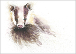 BADGERLimited Edition Print 321