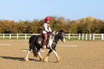 SBM_000181