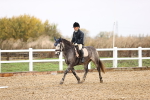 SBM_001978