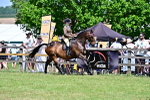 SBM_17447