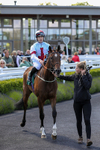 Race 2 portfolio