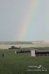 PtP 311223 924