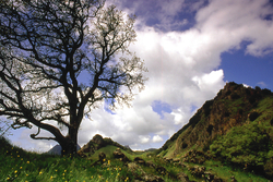 Sutter Buttes portfolio