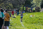 The Finish-1581