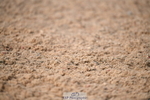 260829B-160644-01891
