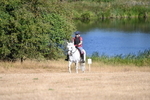 WJ6_7147