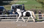 BPP_8599