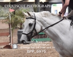 BPP_6975