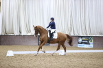 SBM_004446