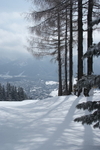 Zakopane piste