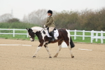 SBM_000147