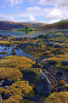 Loch Sunart Scottish Highlands