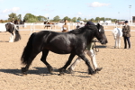 SBM_12949