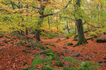 Padley Gorge