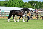 SBM_10145