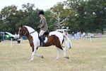WJ7_4981