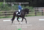 BPP_0455