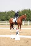 SBM_006301