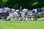 SBM_07775