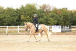 SBM_000613