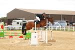 SBM_009887