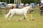 SBM_04175