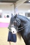 SBM_08905