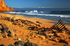 Ethel Wreck Beach 8041